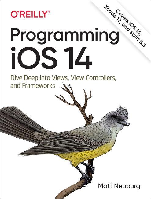 Kniha Programming iOS 14 
