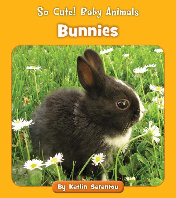 Knjiga Bunnies Katlin Sarantou