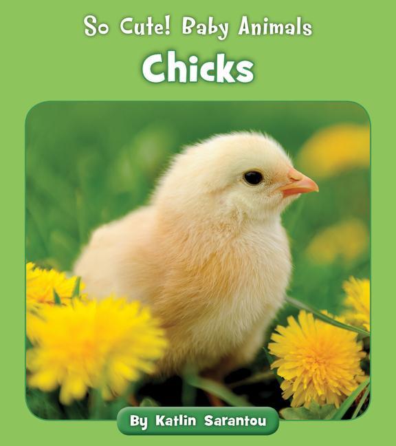Knjiga Chicks 