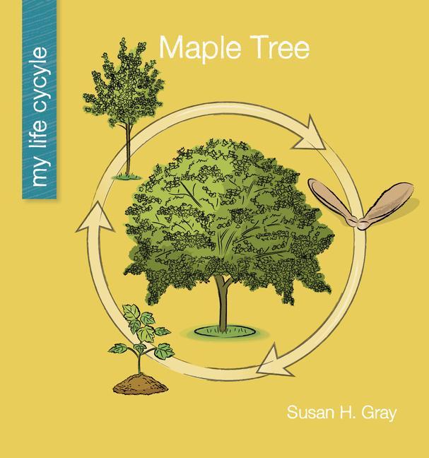 Knjiga Maple Tree Jeff Bane