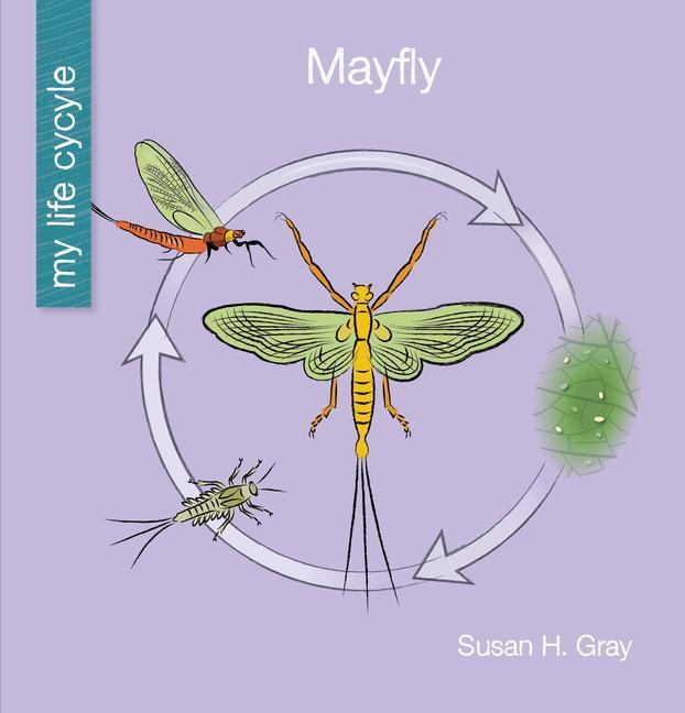 Livro Mayfly Jeff Bane