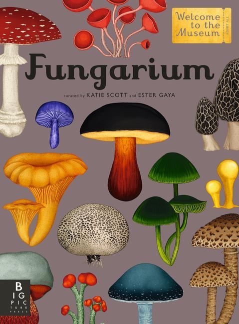 Kniha Fungarium: Welcome to the Museum Katie Scott
