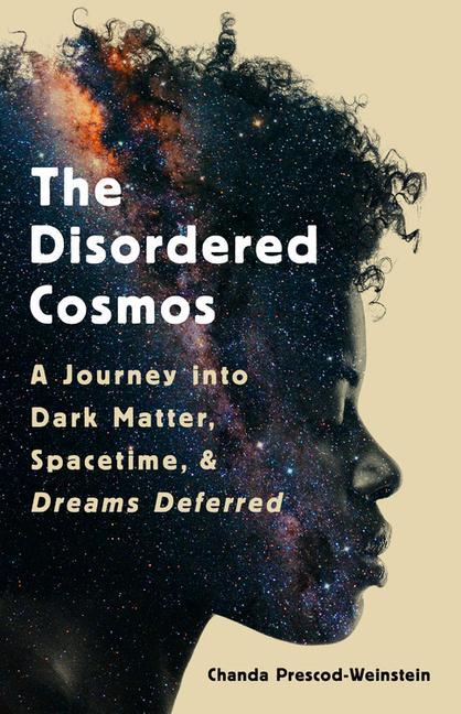 Könyv The Disordered Cosmos 