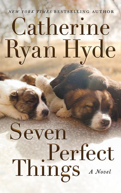 Buch Seven Perfect Things Hyde Catherine Ryan