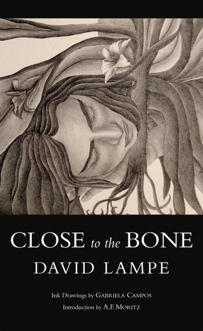 Kniha Close to the Bone A. F. Moritz