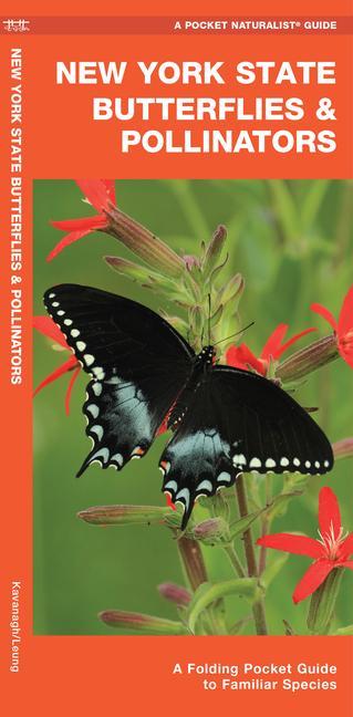 Książka New York State Butterflies & Pollinators: A Folding Pocket Guide to Familiar Species 