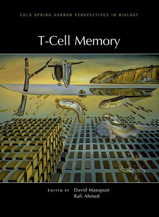 Buch T-Cell Memory Rafi Ahmed