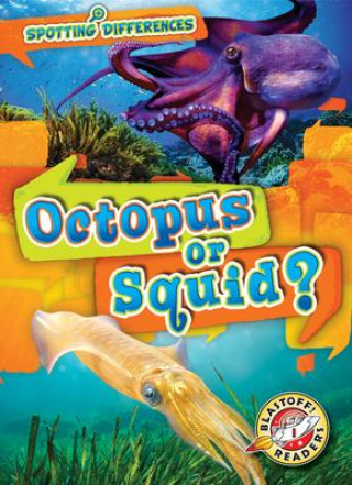 Knjiga Octopus or Squid? 