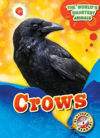 Knjiga Crows Joanne Mattern