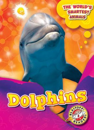 Buch Dolphins 