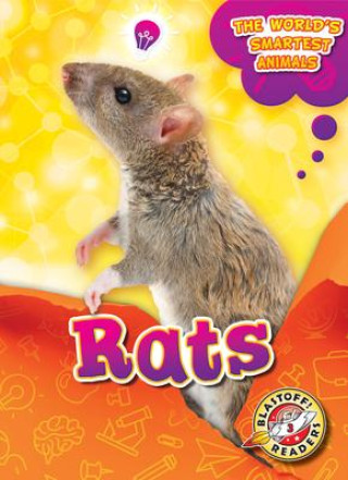 Knjiga Rats 