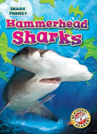 Knjiga Hammerhead Sharks Rebecca Pettiford