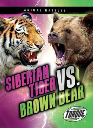 Kniha Siberian Tiger vs. Brown Bear 