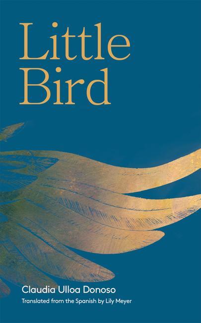 Knjiga Little Bird Claudia Ulloa Donoso