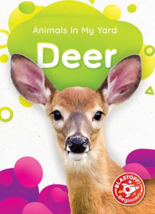 Knjiga Deer Amy McDonald
