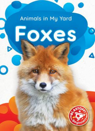 Book Foxes Amy McDonald