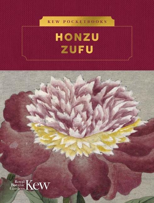 Kniha Kew Pocketbooks: Honzo  Zufu Kew Royal Botanic Gardens