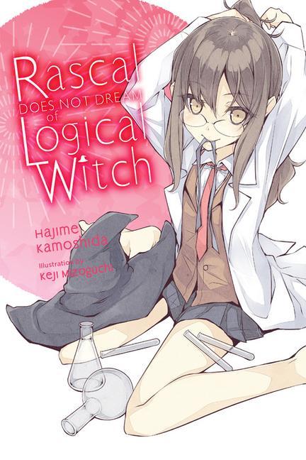 Book Rascal Does Not Dream of Logical Witch (light novel) KEJI MIZOGUCHI