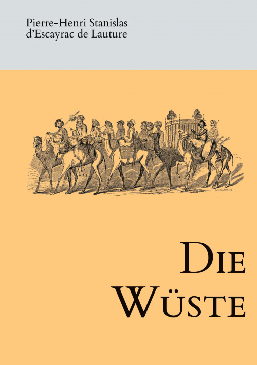 Buch Die Wüste Victor Adolphe Malte-Brun
