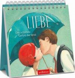 Kniha Liebe - Das schönste Gefühl der Welt Quentin Gréban