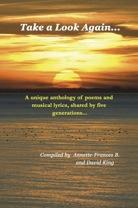 Knjiga Take a Look Again... David King et al