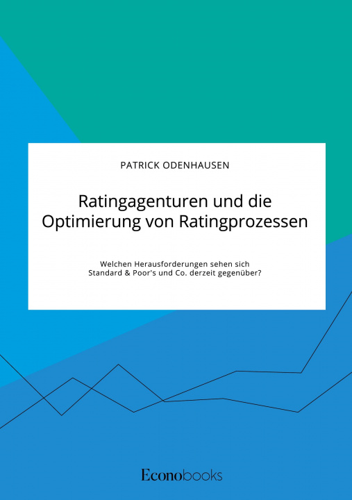 Könyv Ratingagenturen und die Optimierung von Ratingprozessen. Welchen Herausforderungen sehen sich Standard & Poor's und Co. derzeit gegenuber? 