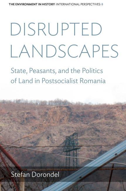 Książka Disrupted Landscapes 
