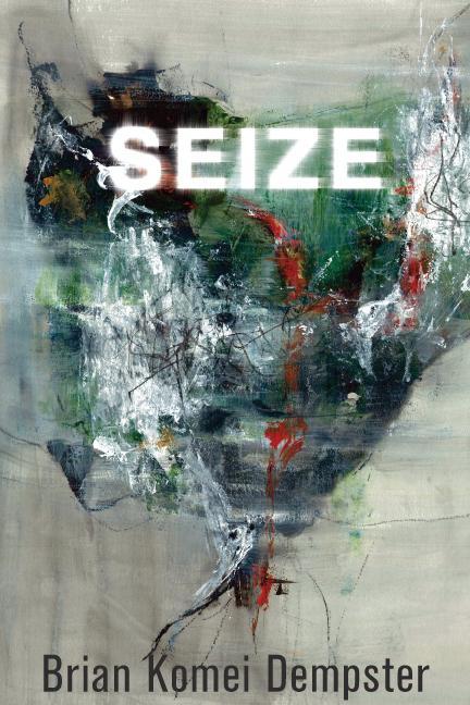 Knjiga Seize 