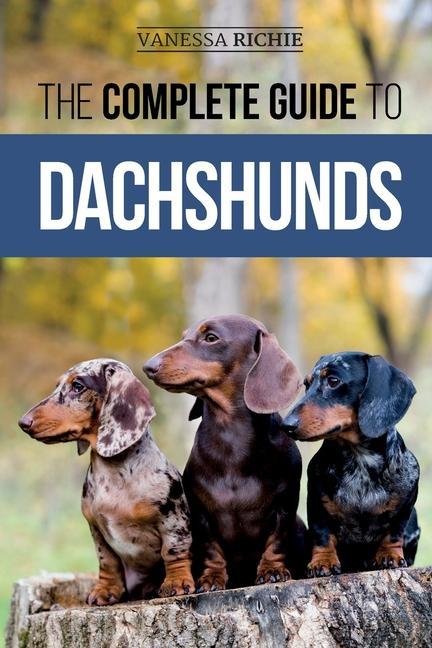 Kniha The Complete Guide to Dachshunds: Finding, Feeding, Training, Caring For, Socializing, and Loving Your New Dachshund Puppy 