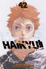 Könyv Haikyu!!, Vol. 42 Haruichi Furudate
