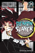 Könyv Demon Slayer: Kimetsu no Yaiba, Vol. 20 Koyoharu Gotouge