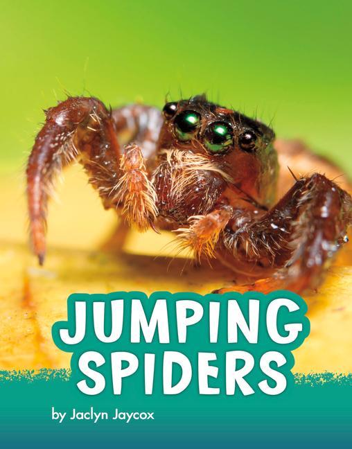 Knjiga Jumping Spiders 