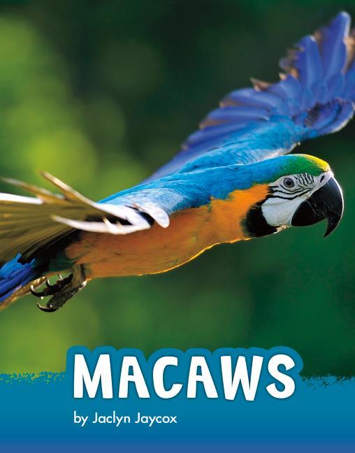Könyv Macaws 