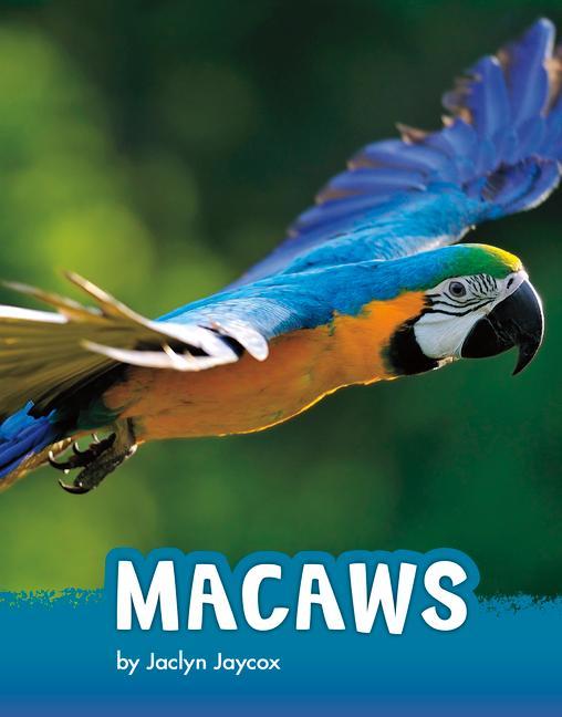 Libro Macaws 