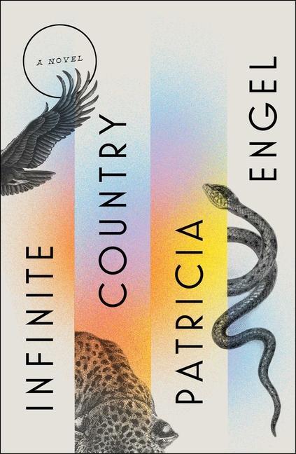 Buch Infinite Country 