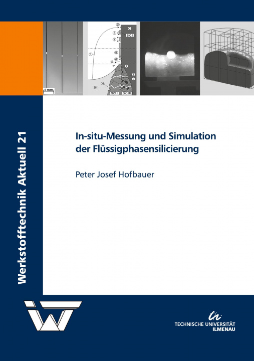 Kniha In-situ-Messung und Simulation der Flüssigphasensilicierung 
