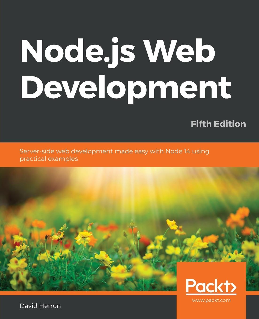 Könyv Node.js Web Development 