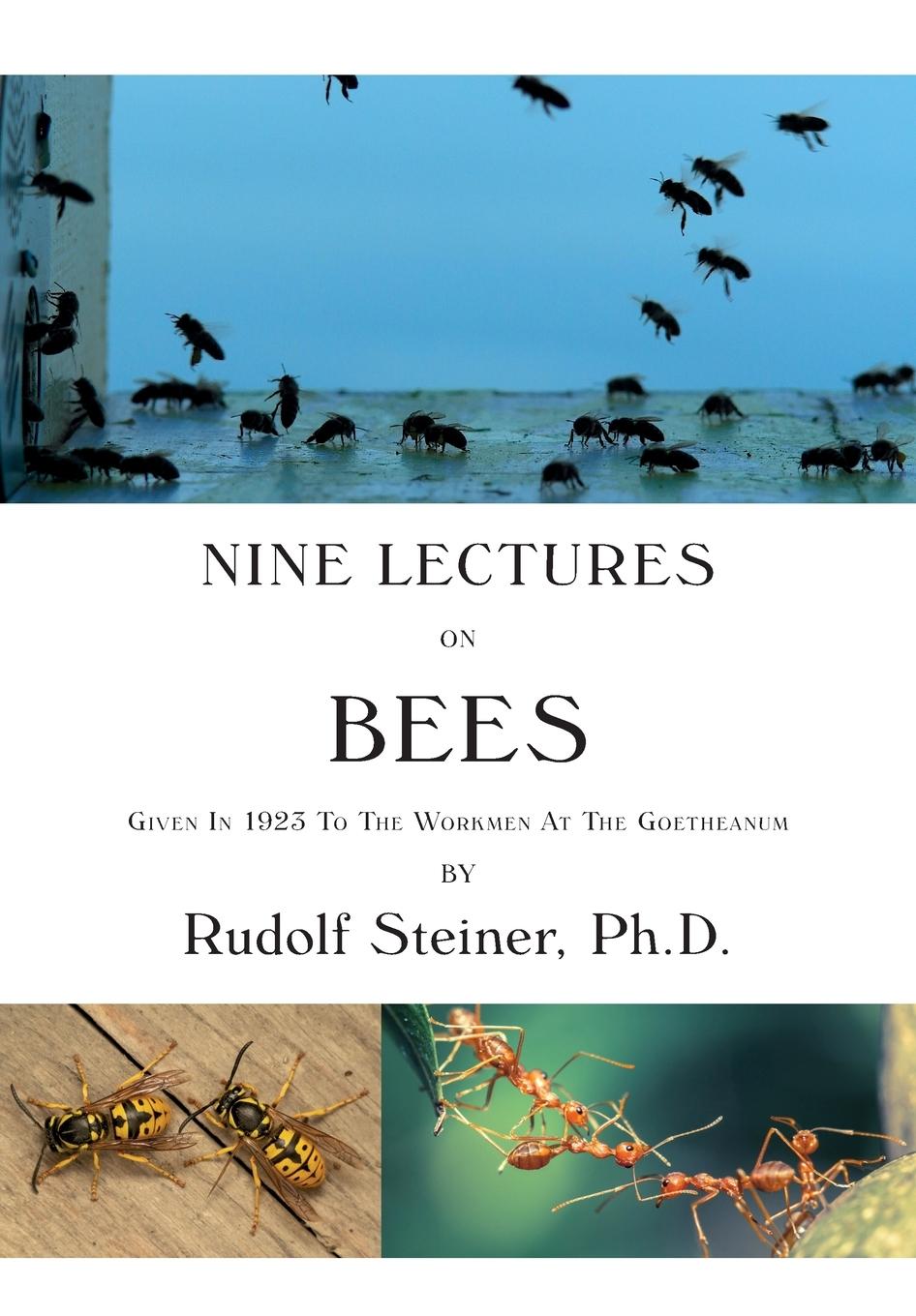 Carte Nine Lectures on Bees 