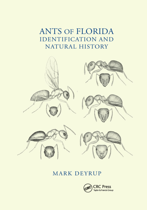 Kniha Ants of Florida Mark Deyrup