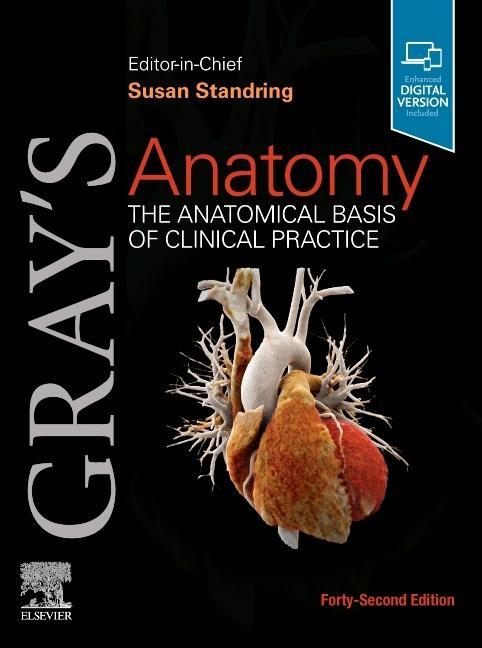 Könyv Gray's Anatomy 