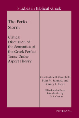 Knjiga Perfect Storm Stanley E. Porter