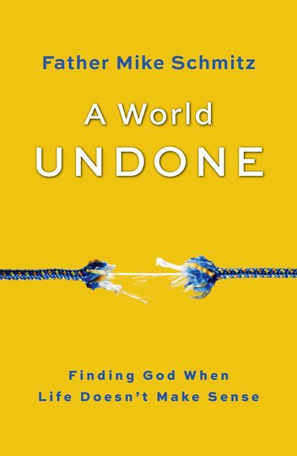 Kniha World Undone 