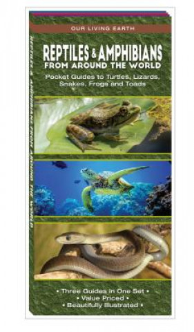 Carte Reptiles & Amphibians from Around the World: Pocket Guides to Turtles, Lizards, Snakes, Frogs and Toads Jeff Corwin