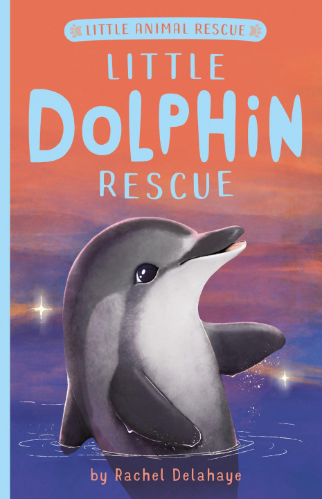 Kniha Little Dolphin Rescue Suzie Mason