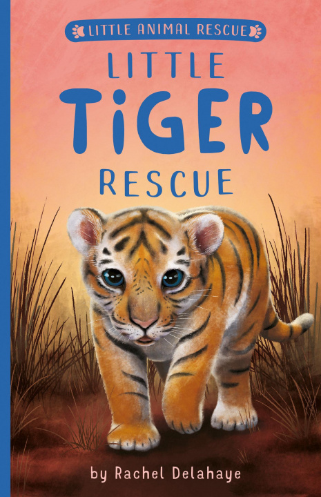 Kniha Little Tiger Rescue Suzie Mason