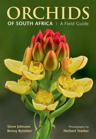 Книга Orchids of South Africa STEVE JOHNSON