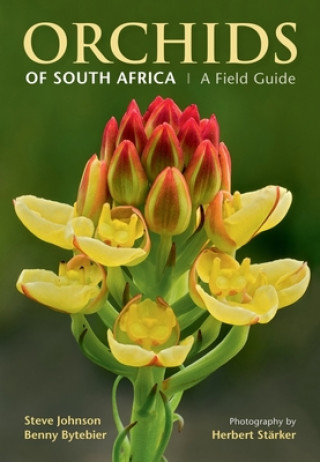 Book Orchids of South Africa STEVE JOHNSON