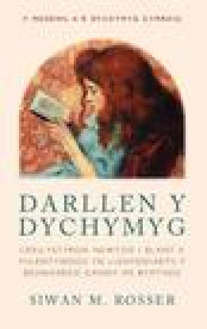 Könyv Darllen y Dychymyg Siwan M. Rosser