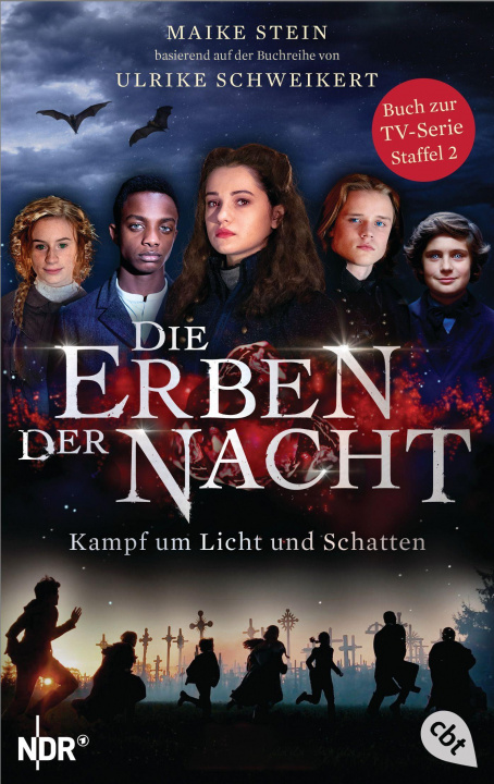 Kniha Die Erben der Nacht - Kampf um Licht und Schatten Ulrike Schweikert