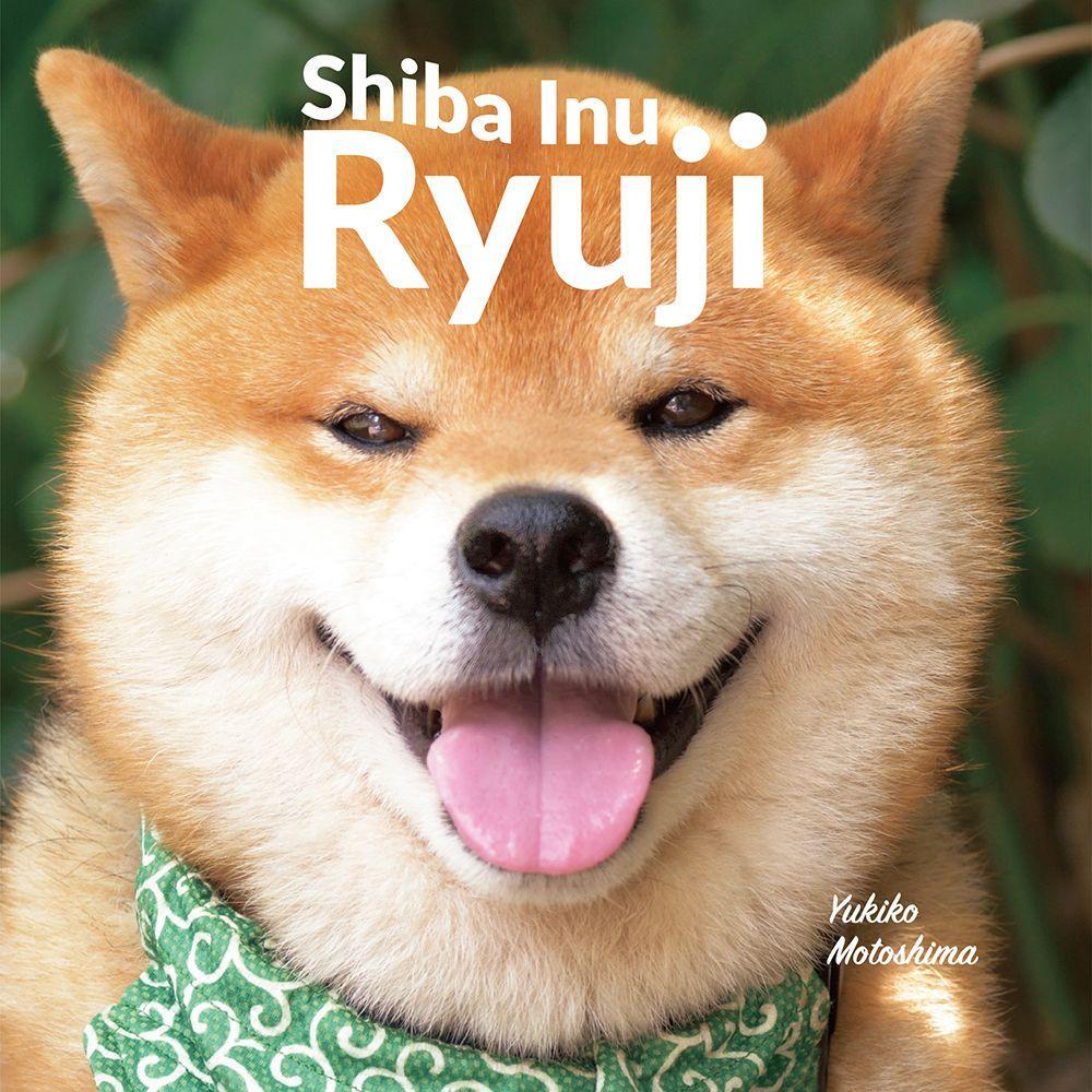 Książka Shiba Inu Ryuji Yukiko Motoshima